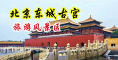 美女逼逼爱爱免费大片中国北京-东城古宫旅游风景区